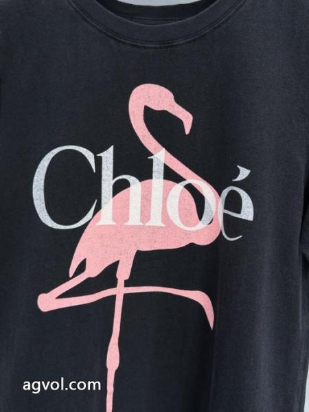 コピー 商品 販売魅力的アイテム 最終セール 個性的！TシャツCHLOE. 5 